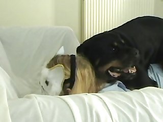 Khloe Moretti Dog Xxx