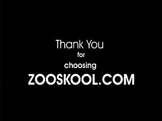 Tranny Zoo Tube