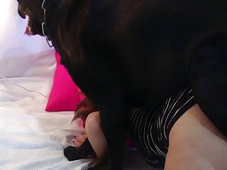 Man Fucking Male Dog Xxx
