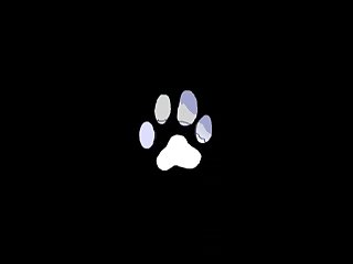 Dog Xxx Outside