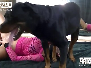 Gay Zoo Dog Xxx