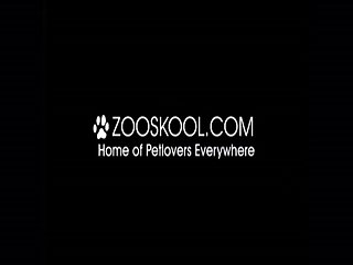 Blonde Art Of Zoo