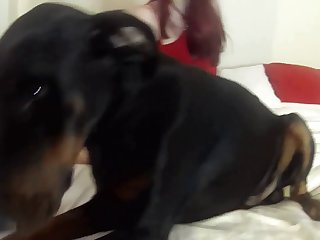 Dog Xxx Humping
