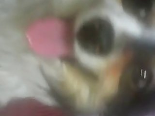 Involved And Make Our Love Making A Triangle. I Pushed