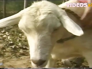 Cock Felt So Hard It Was Painful To The Point That I