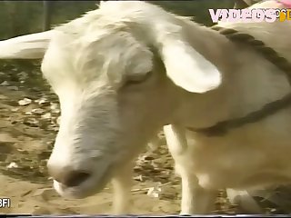 Cock Felt So Hard It Was Painful To The Point That I