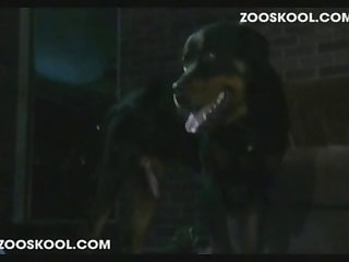 Zoophilie Free Videos
