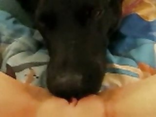 Girl Loves Her Dog Xxx