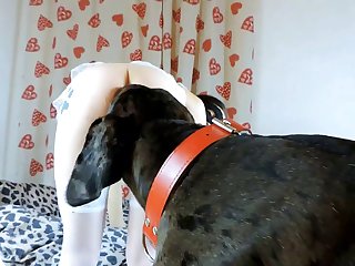 Dog Xxx Doberman