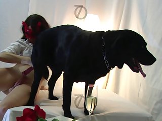 My Seamless Dog Xxx