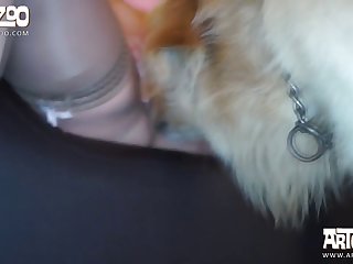 Teen Girl Sex Dog Xxx