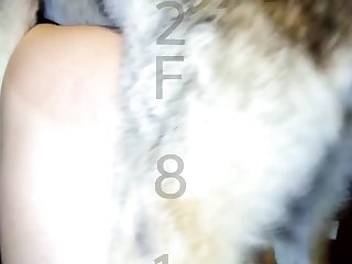 Animal Dog Xxx Tube