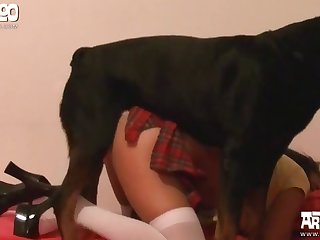 Pakistani Dog Xxx