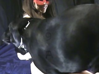 Sky Dog Xxx