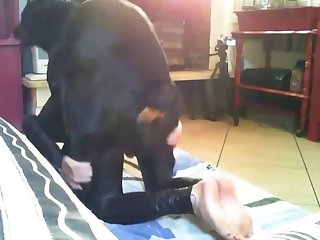 Playing With My Dog Xxx