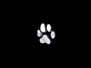 Petsmart Dog Xxx