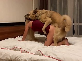 Raped By Dog Xxx Comic