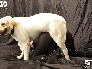 Anime Dog Xxx Gif