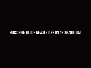 Art Of Zoo Xxx Compilation