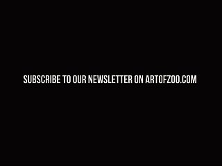 Art Of Zoo Xxx Compilation