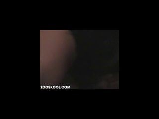 Using Vibrator On Dog Xxx