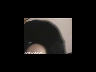 Using Vibrator On Dog Xxx