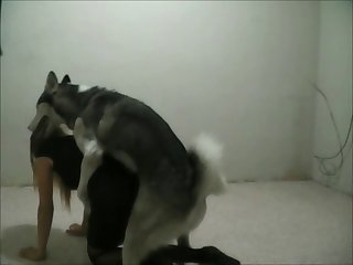 Girl Dog Xxx Gif
