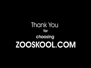 What Is The Art Of Zoo