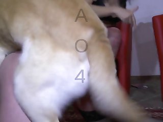 Man Fisting Dog Xxx