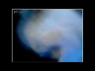 Webcam Cutie And Her Dog Part 5