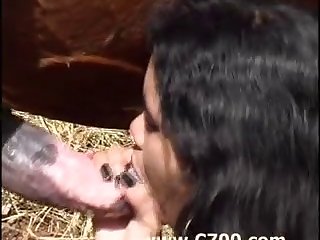 Man Fucks Monkey Zoo Porn