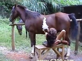 Animal Too Animal Sex