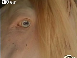 Nana Art Of Zoo Porn