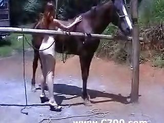 Animal Sex Snakes
