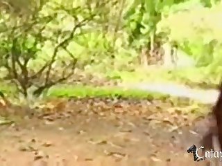 Xxx Animal Porn Hub