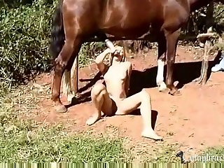 2021 Zoo Porn