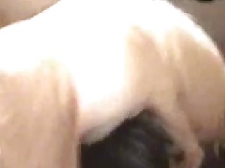 Animal Sex Videio