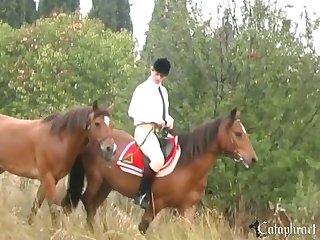 Liveleak Animal Sex