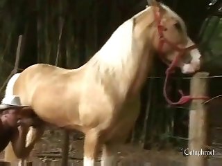 Brazzers Animal Sex