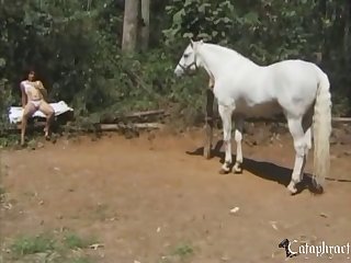 Free Farm Animal Sex Videos