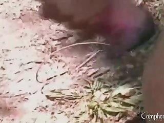 Zoo Porn Reactions