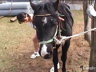 Babygirl Animal Sex