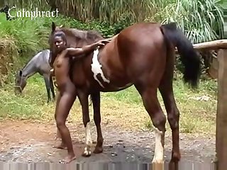 Zoo Porn Ape