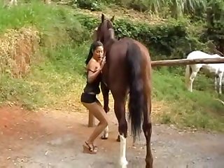 Boy Zoo Porn