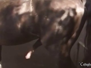 Pornstars Animal Sex