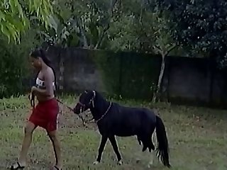 Human And Animal Sex Xxx