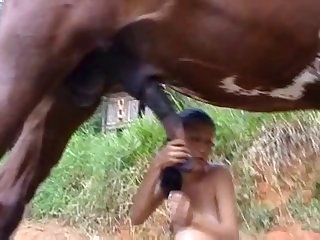 Girls React Zoo Porn