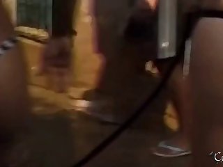 Animal Sex Videos New
