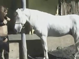 Zoo Porn Dvd