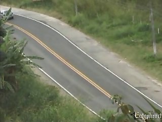 Animal Sex With Girls Porn Video